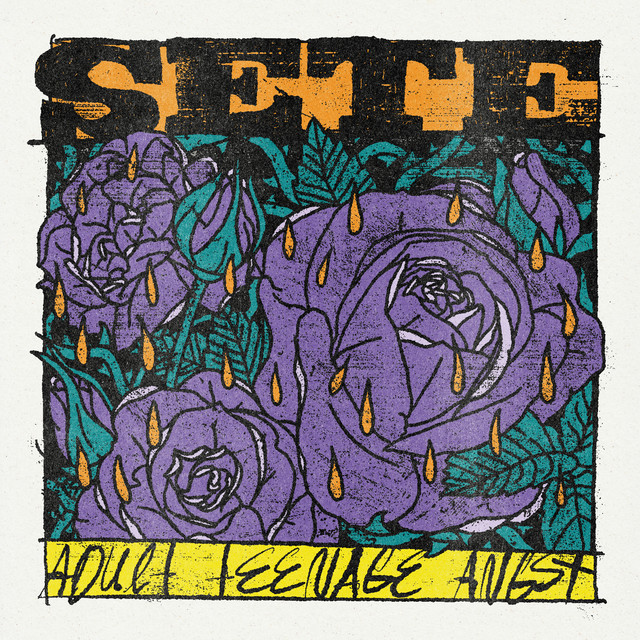 Telescopes cover art