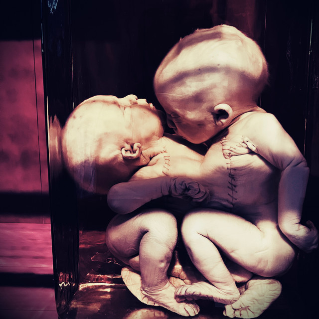 Cold Sweat and Aborted Dreams: A Collection of Wayward Songs cover art