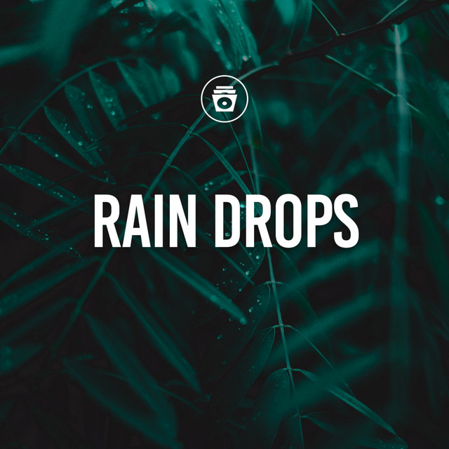 Rain Drops cover art