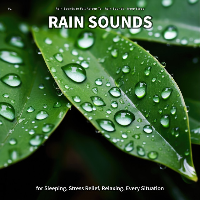 #1 Rain Sounds for Sleeping, Stress Relief, Relaxing, Every Situation cover art