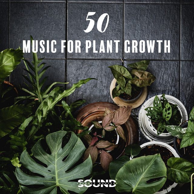 50 Music for Plant Growth: 24 Hour Care, Natural Biocycle, Root Restoration, Houseplant Health, Spring Frequencies All Year Round, Songs for Plants to Promote Growth, Bloom and Overall Health cover art
