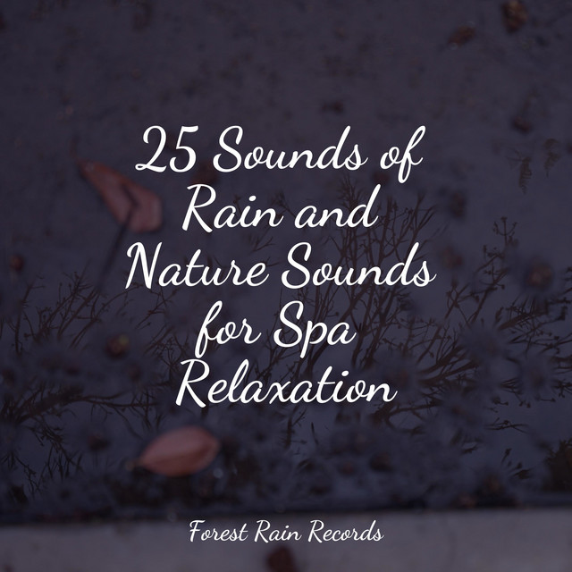 25 Sounds of Rain and Nature Sounds for Spa Relaxation - Album by ...