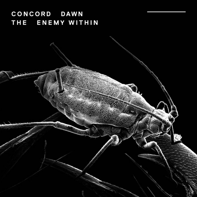 The Enemy Within cover art