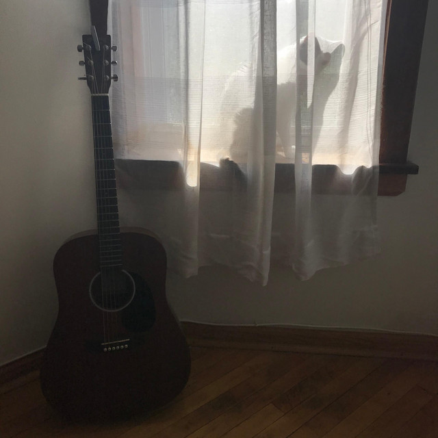 Do You Want To Buy A Guitar? cover