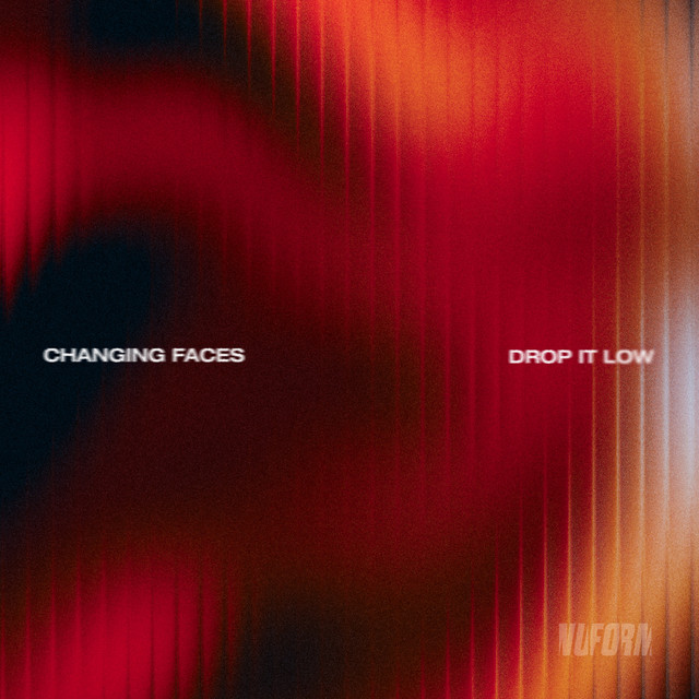 Drop It Low album art