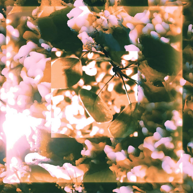 Laying Under a Tree
