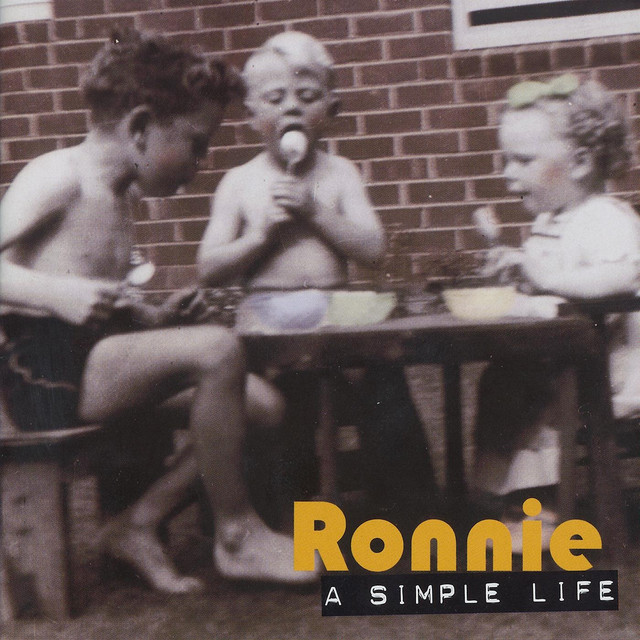 A Simple Life cover art