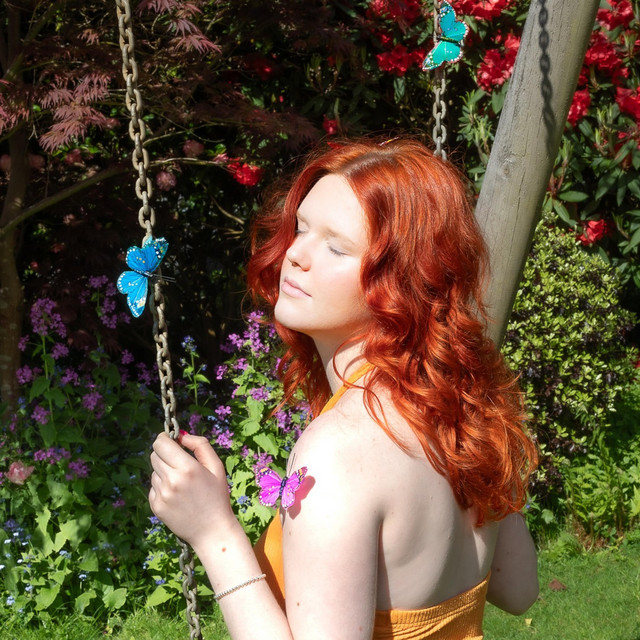 Where Do All The Butterflies Go? cover art