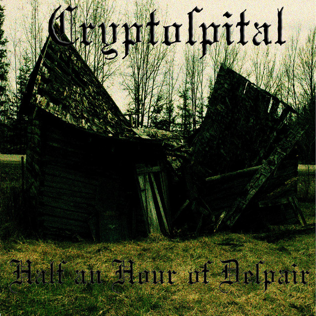 Half An Hour of Despair cover art