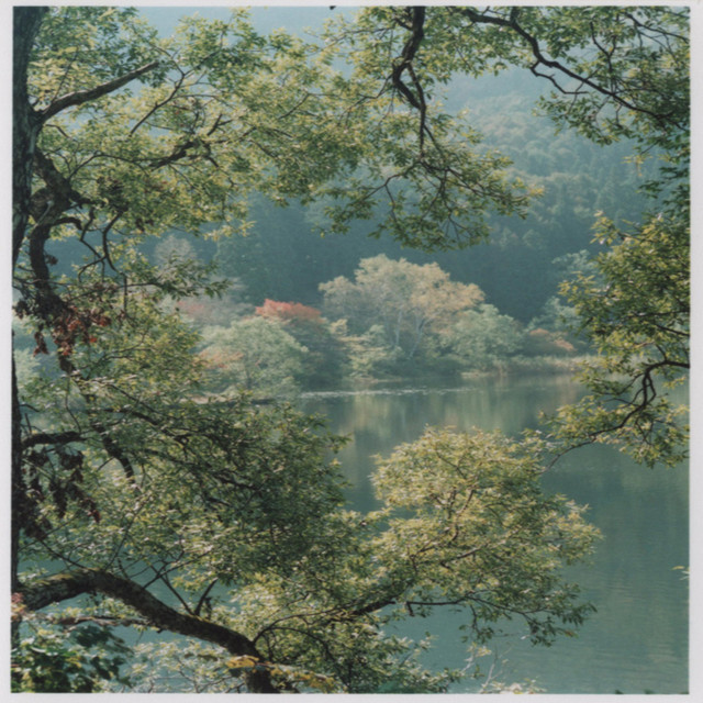 Dny cover art