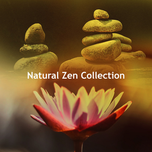 Natural Zen Collection - Album by Natural Zen Meditation White Noise ...