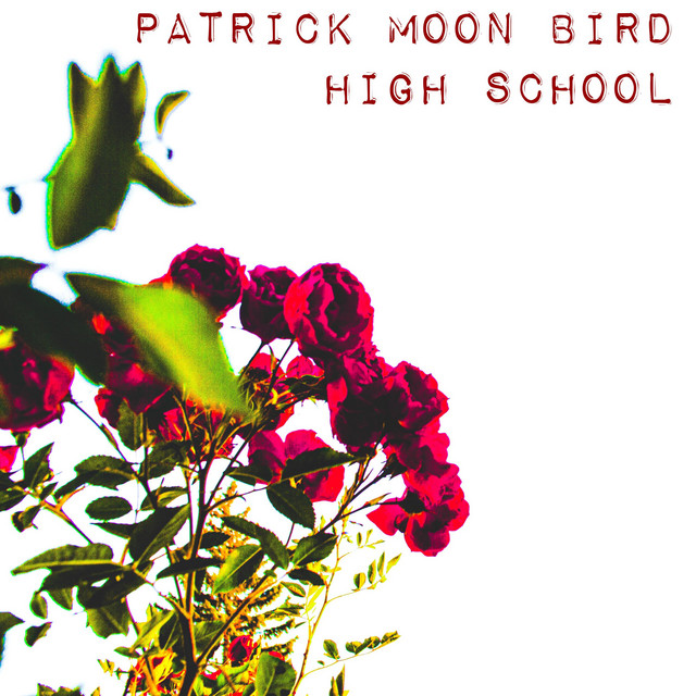 High School cover art