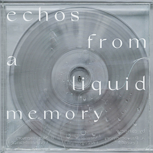 Echos From A Liquid Memory cover art