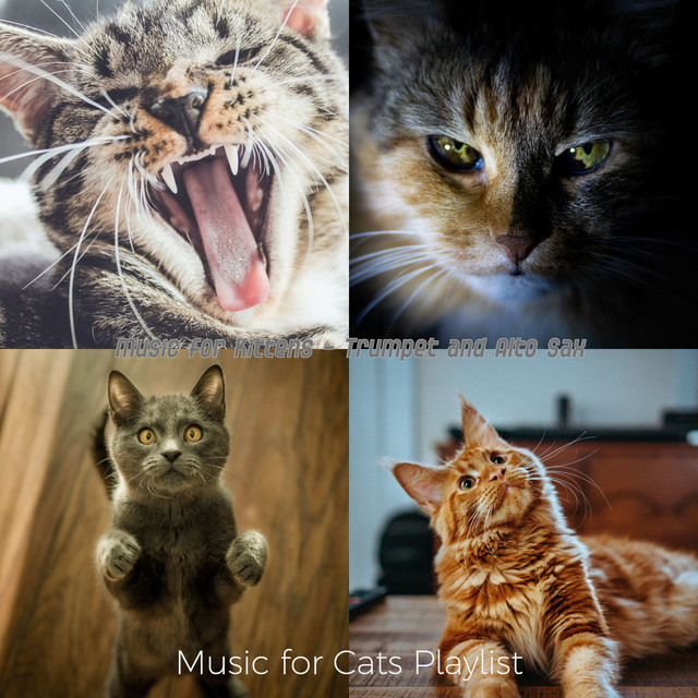 Music for Kittens - Trumpet and Alto Sax cover art