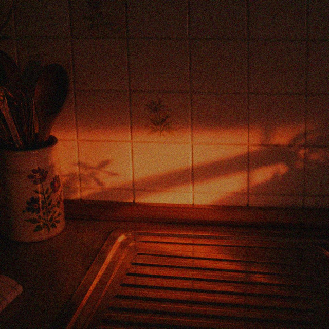 you moved alone ..it's evening and the light looks like this.. cover art