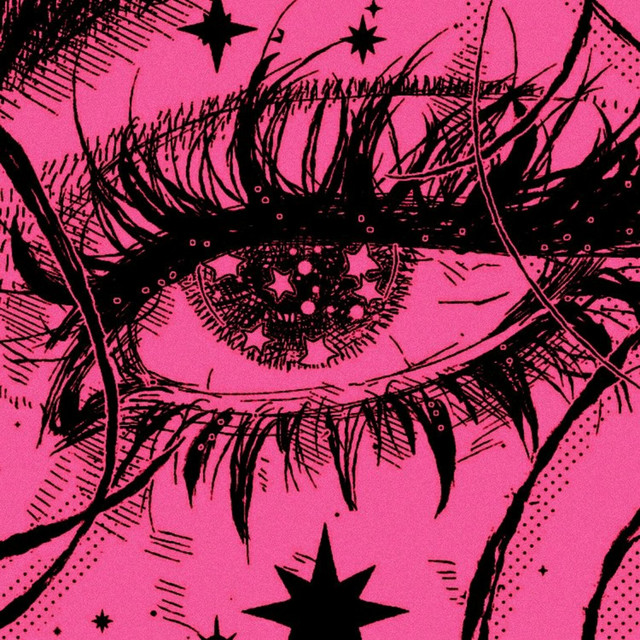 windw cover art