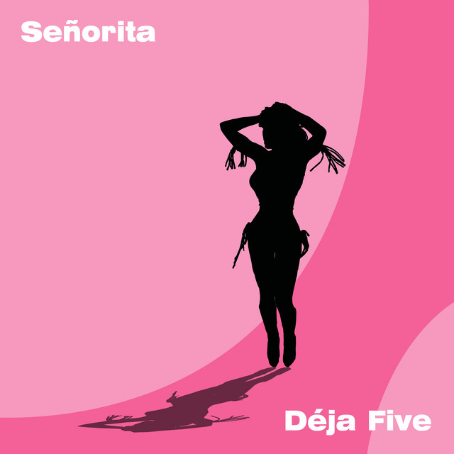 Señorita cover