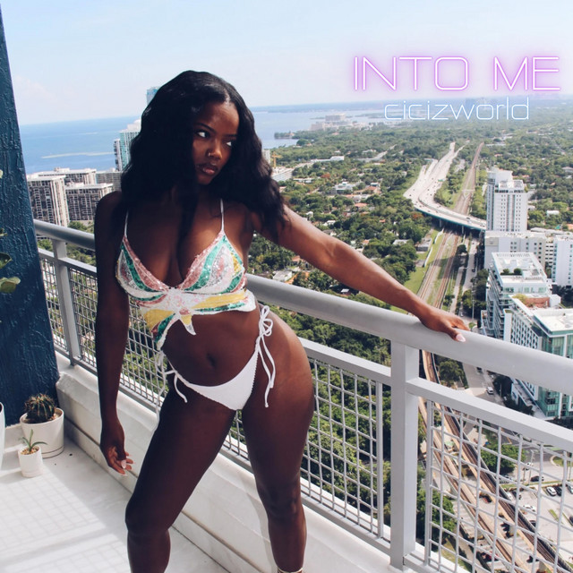 Into Me album image