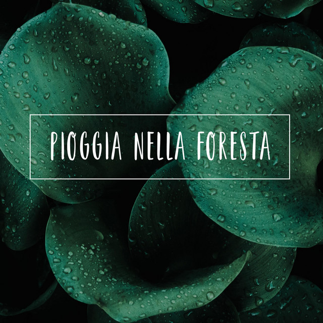 Pioggia nella Foresta cover art