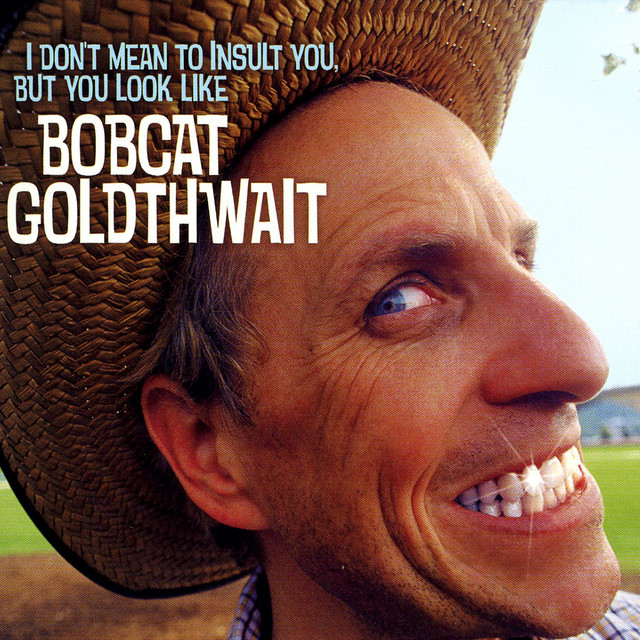 I Don't Mean to Insult You, But You Look Like Bobcat Goldthwait cover art
