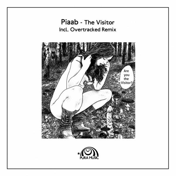 The Visitor cover art