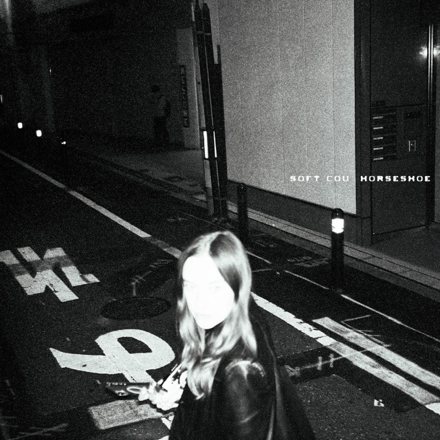 Horseshoe cover art