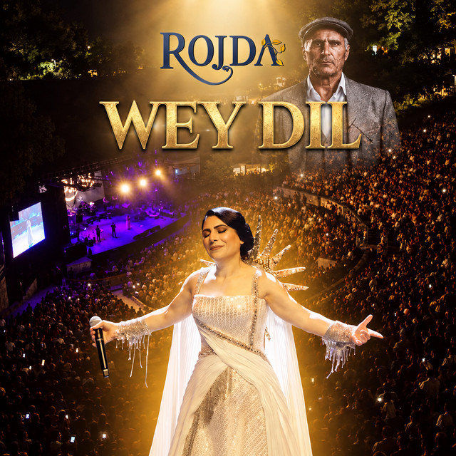 Wey Dil (Akustik) album image