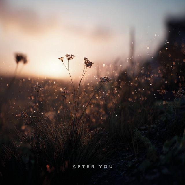 After You cover art