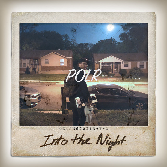 Into the Night cover art