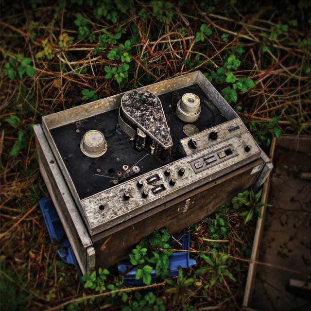 Self Oscillate Photo