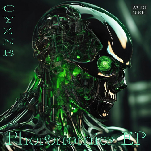 Project Run cover art