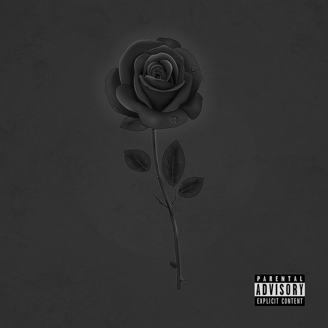 Problems cover art