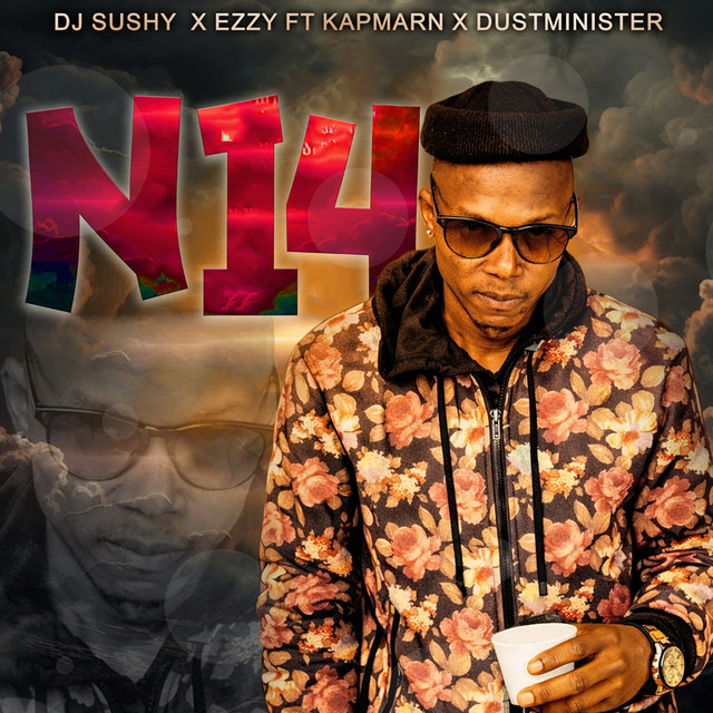 N14 (feat. Kapmarn & DustMinister) - Single by DJ Sushy | Spotify