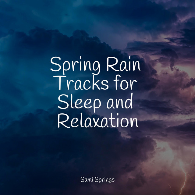 Spring Rain Tracks for Sleep and Relaxation - Album by White Noise for ...