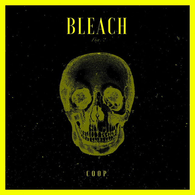 Bleach cover art