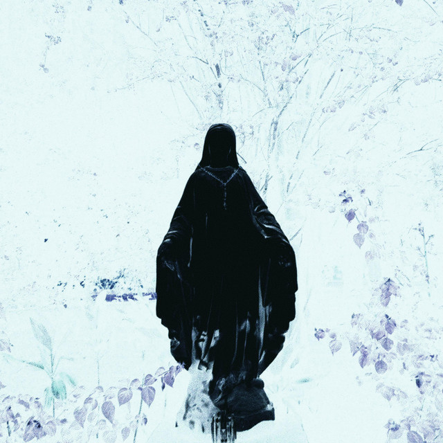 Surrounded by a Cloud of Witnesses cover art