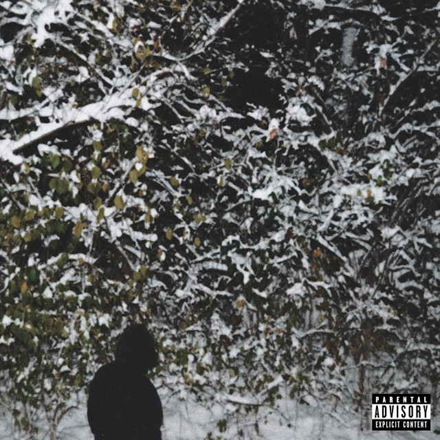 half awake cover art