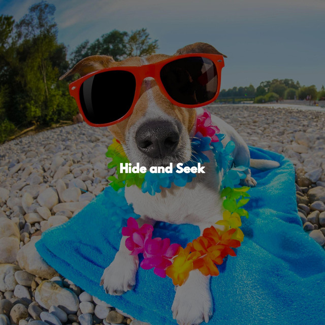 Hide and Seek cover art