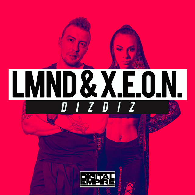 DIZDIZ album art