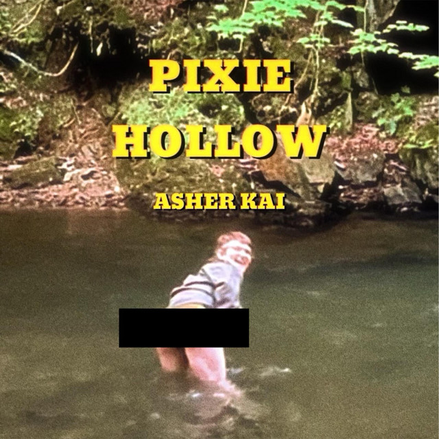 Pixie Hollow cover art