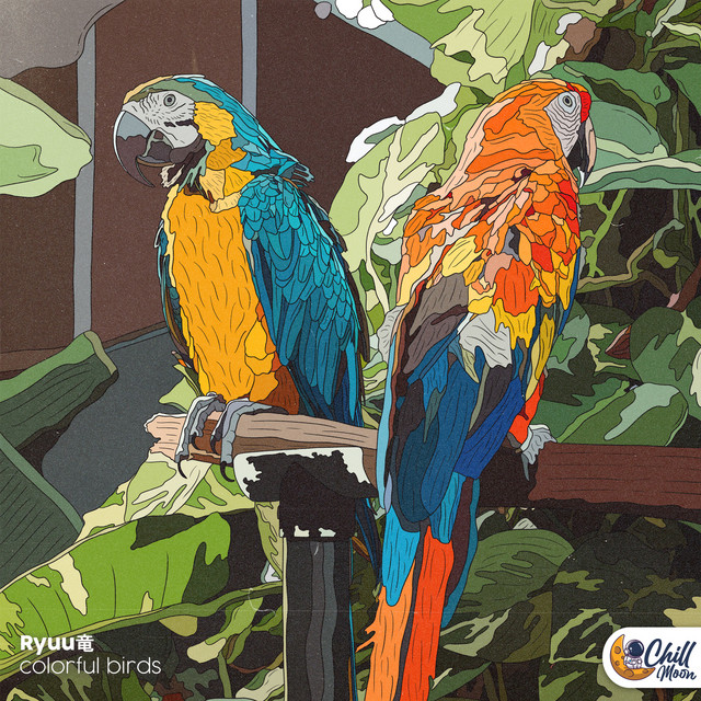 Обкладинка: colorful birds — Ryuu竜