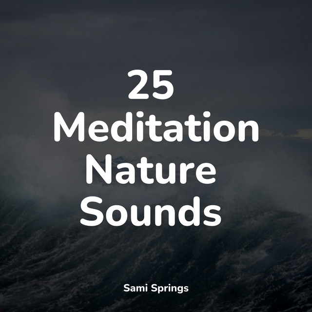 25 Meditation Nature Sounds - Album by Bath Spa Relaxing Music Zone ...