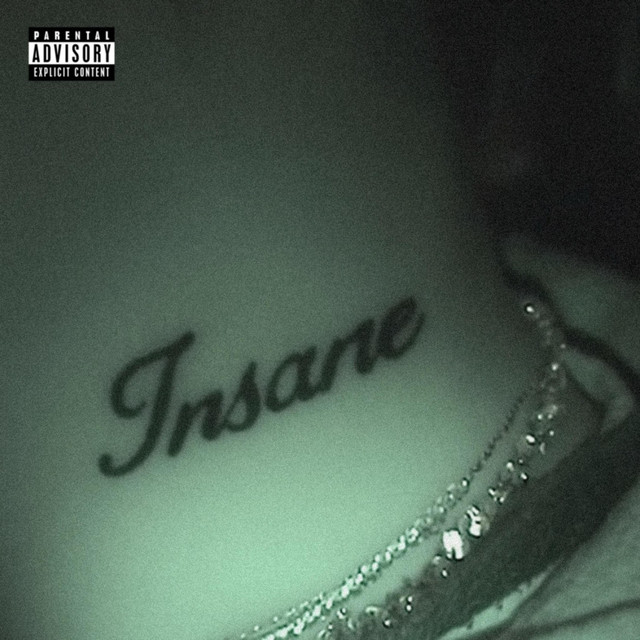 INSANE cover art