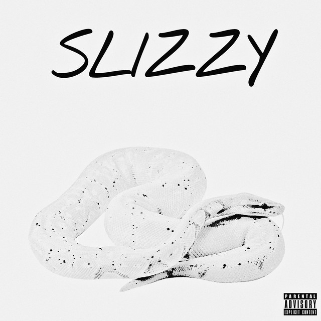 Slizzy cover art