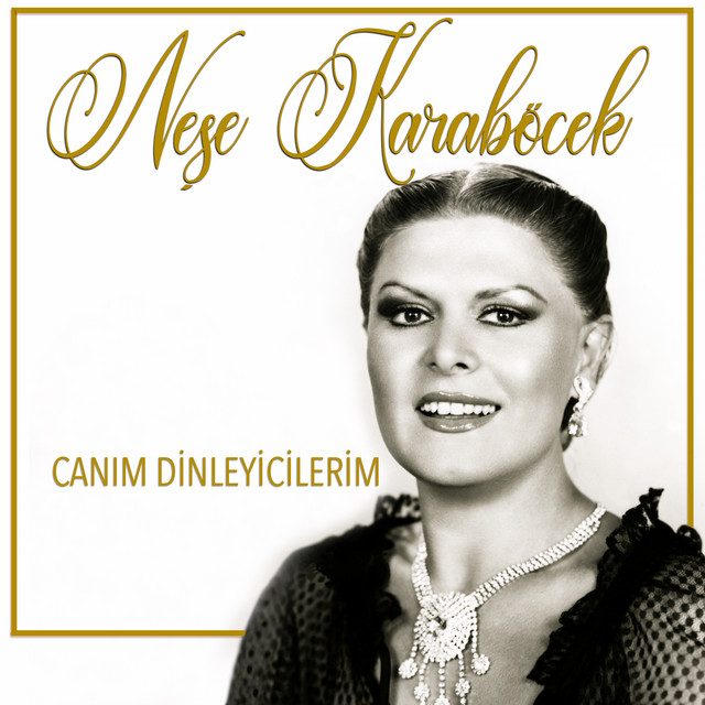 Canım Dinleyicilerim cover art