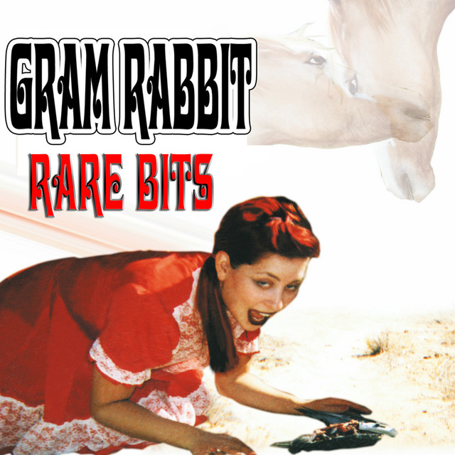 Rare Bits cover art