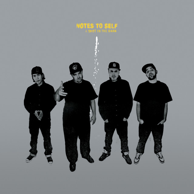 A Shot In The Dark cover art