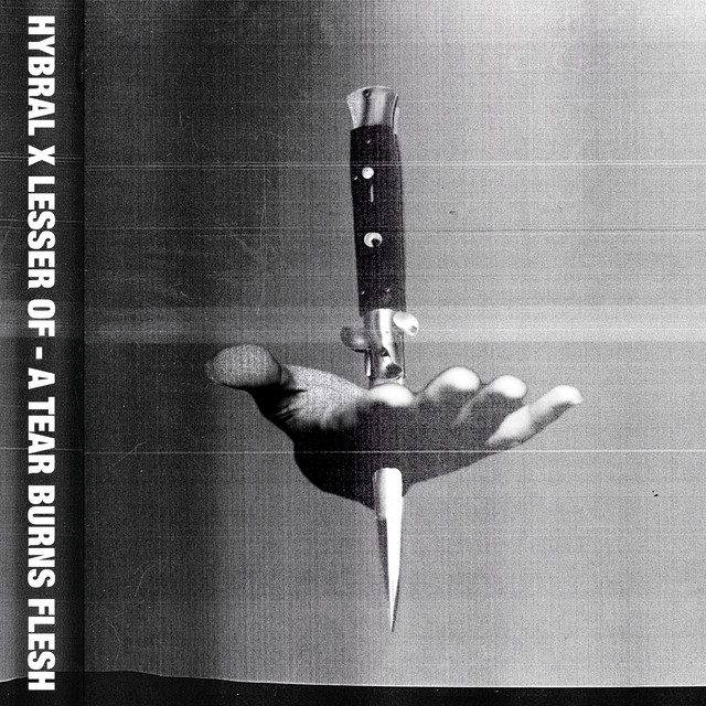 A Tear Burns Flesh cover art