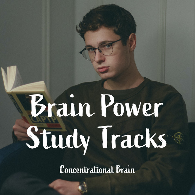 Brain Power Study Tracks - Album by Concentrational Brain | Spotify