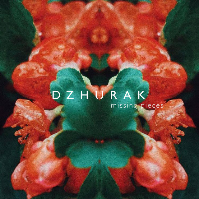 Обкладинка: Missing Pieces — DZHURAK